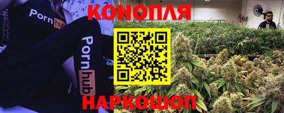 гашик Севастополь