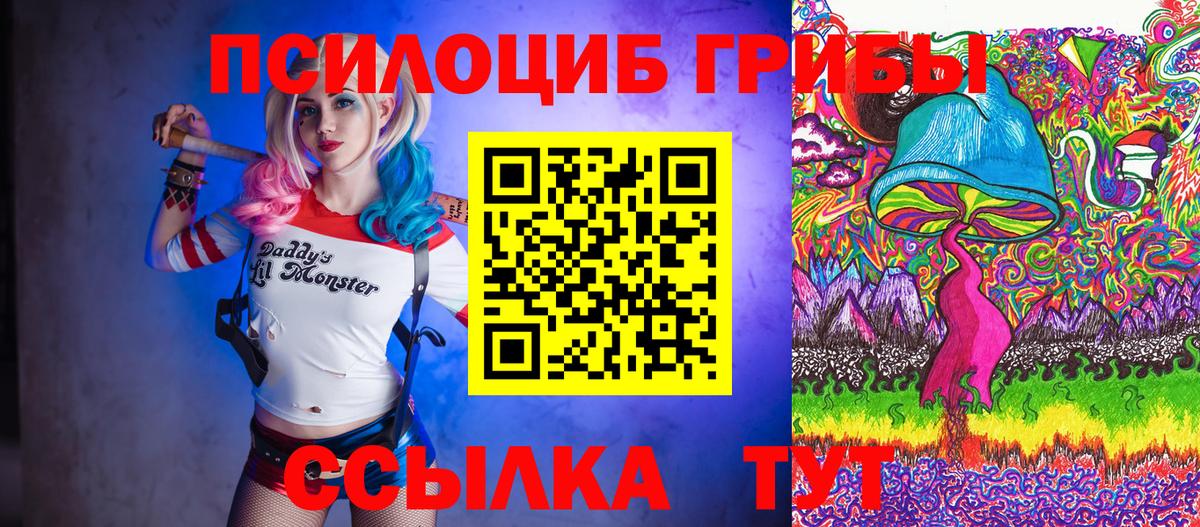 Псилоцибиновые грибы прущие грибы  Галлюциногенные грибы Psilocybine cubensis  Вход с VPN  Сланцы 